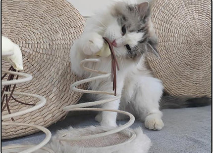Juguete Para Gato Diseño De Resorte