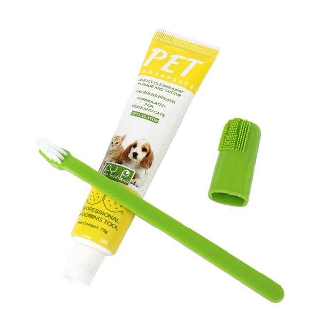 Kit 2 Cepillos Y Pasta Dental