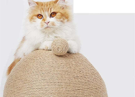 Rascador Sisal Para Gatos