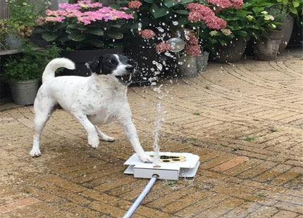 Fuente De Agua Para Perros