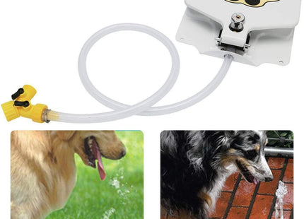 Fuente De Agua Para Perros