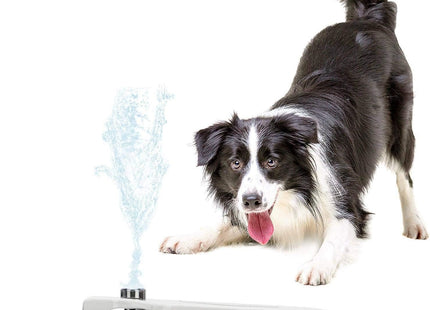 Fuente De Agua Para Perros