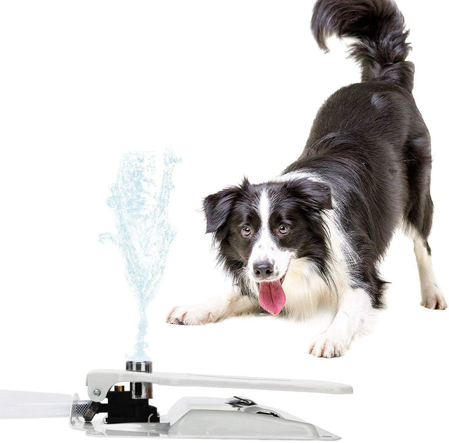 Fuente De Agua Para Perros