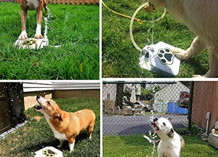 Fuente De Agua Para Perros