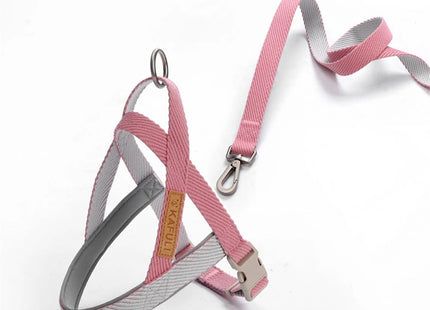 Conjunto de Arnés Y Correa Ajustable