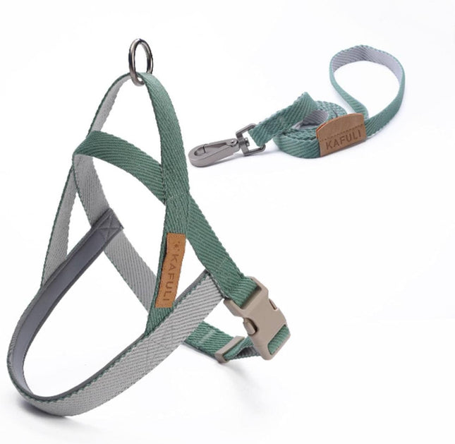Conjunto de Arnés Y Correa Ajustable