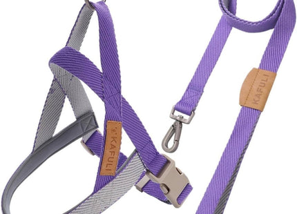 Conjunto de Arnés Y Correa Ajustable