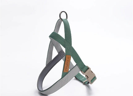 Conjunto de Arnés Y Correa Ajustable