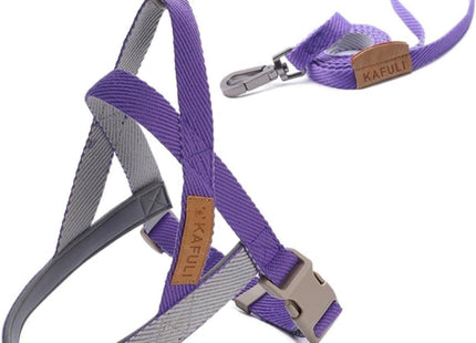 Conjunto de Arnés Y Correa Ajustable