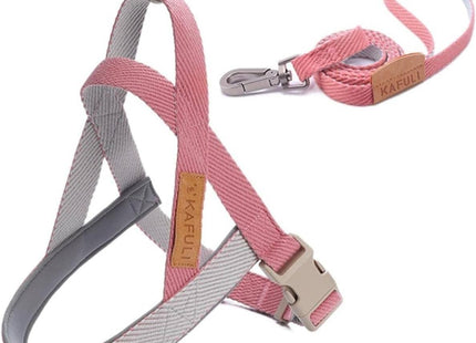 Conjunto de Arnés Y Correa Ajustable