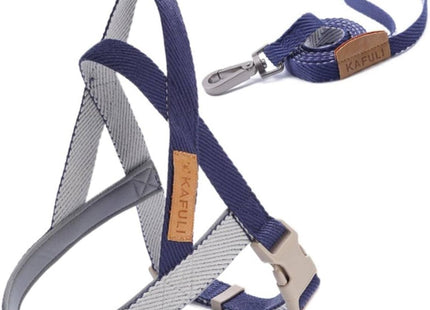 Conjunto de Arnés Y Correa Ajustable