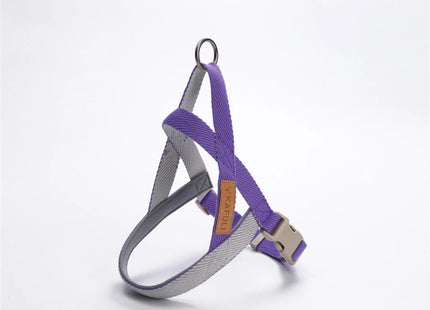 Conjunto de Arnés Y Correa Ajustable