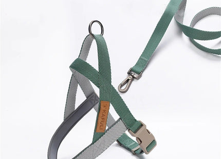 Conjunto de Arnés Y Correa Ajustable