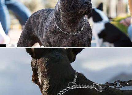 Collar De Ahorque Simple Para Perro