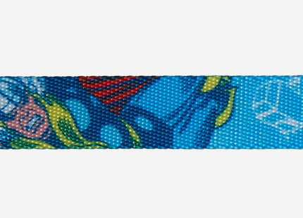 Collar Zeedog Thor Edición Limitada