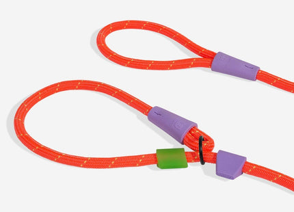 Correa De Entrenamiento Slip & lock Everest