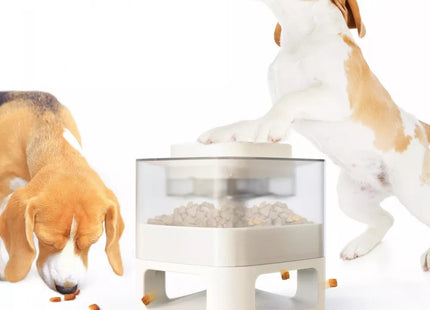Juguete para perro dispensador de pastillas