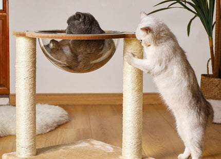 Rascador Con Capsula Para Gatos