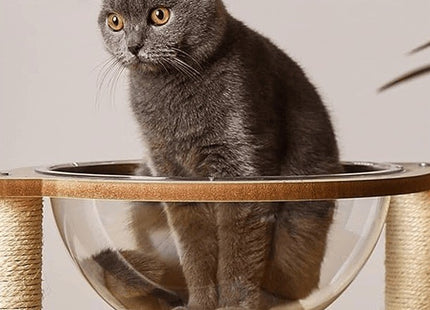 Rascador Con Capsula Para Gatos
