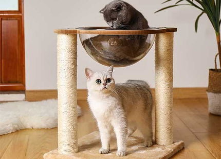 Rascador Con Capsula Para Gatos