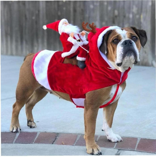 Disfraz De Navidad Para Mascotas
