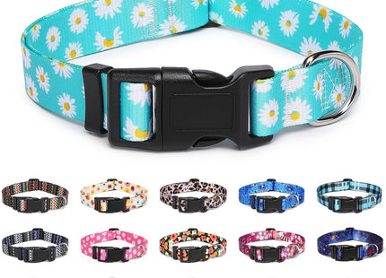 Collar Con Diseños Para Perro