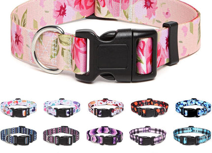 Collar Con Diseños Para Perro