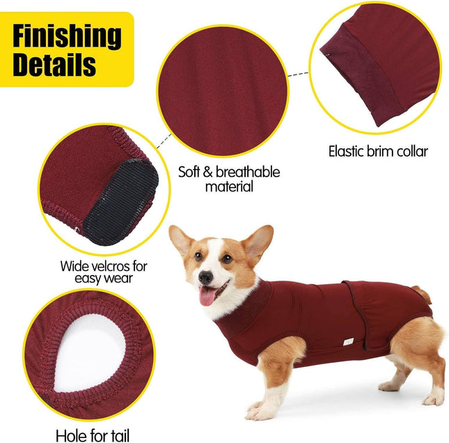 Traje De Recuperación Para Mascotas