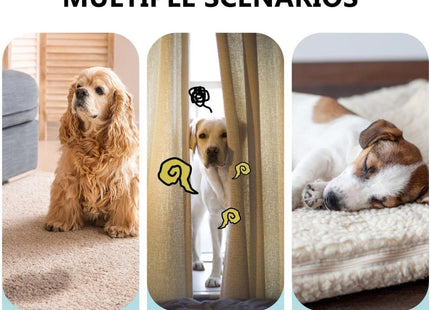 Traje De Recuperación Para Mascotas