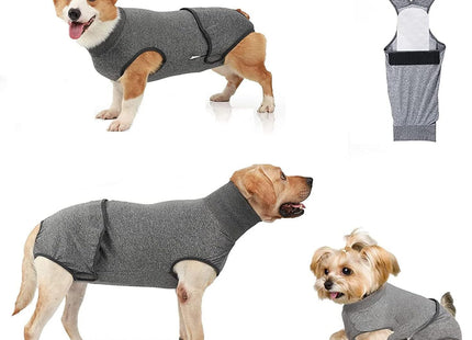 Traje De Recuperación Para Mascotas