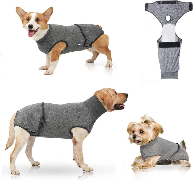 Traje De Recuperación Para Mascotas