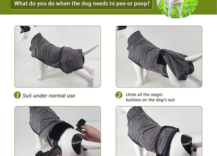 Traje De Recuperación Para Mascotas
