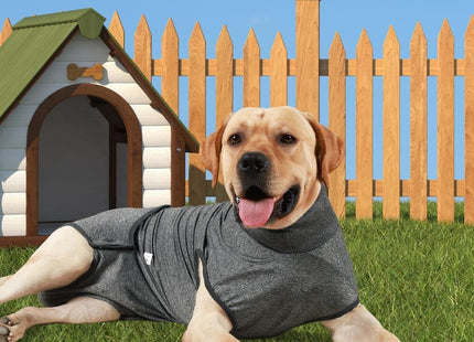 Traje De Recuperación Para Mascotas