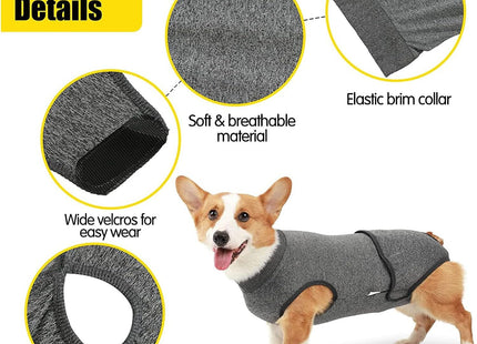 Traje De Recuperación Para Mascotas