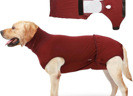 Traje De Recuperación Para Mascotas