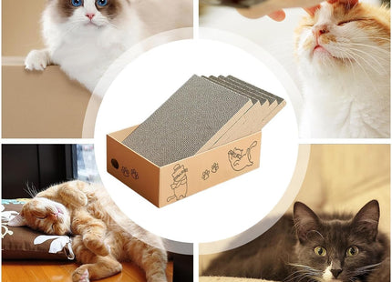 Pack 5 Rascadores De Cartón Para Gato