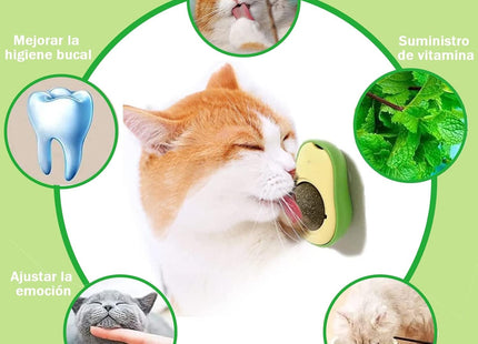Bola De Hierba Gatera Diseño De Palta