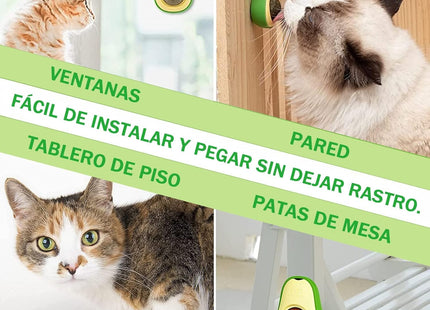 Bola De Hierba Gatera Diseño De Palta