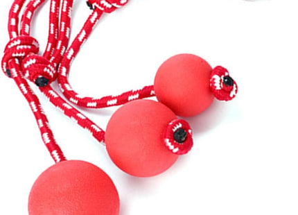 Cuerda Con Pelota Para Perro