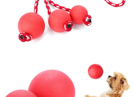 Cuerda Con Pelota Para Perro