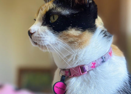 Chapita Identificatoria Redonda De Silicona Para Mascotas