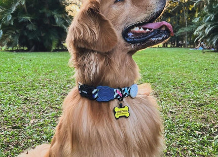 Chapita Identificatoria Hueso De Silicona Para Mascotas