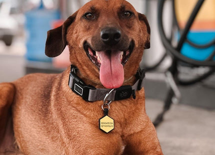 Chapita Identificatoria Hexagono De Silicona Para Mascotas