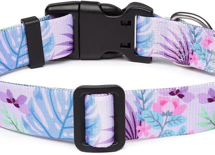 Collar Con Diseños Para Perro