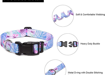 Collar Con Diseños Para Perro