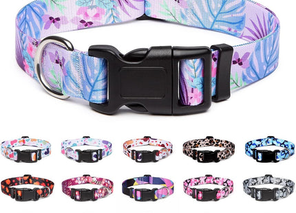 Collar Con Diseños Para Perro