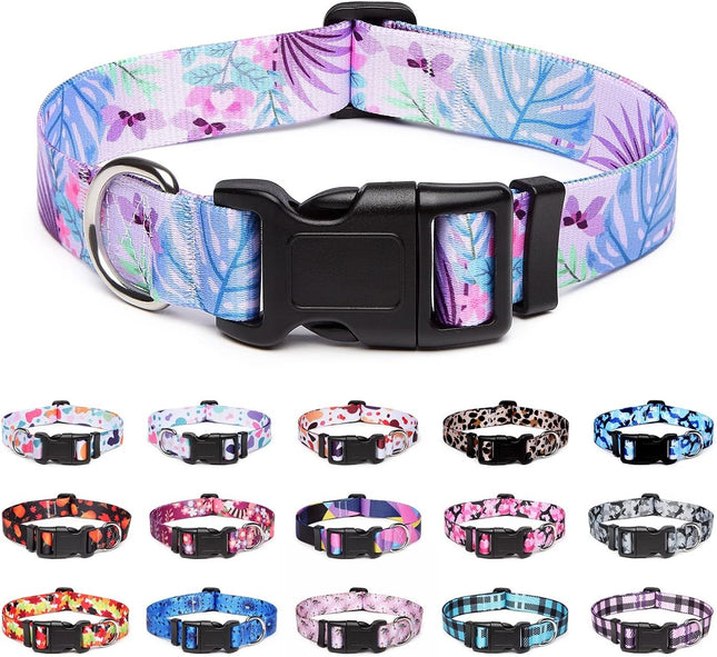 Collar Con Diseños Para Perro