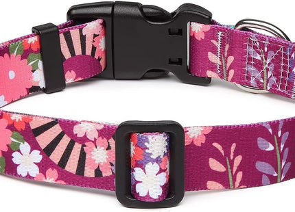 Collar Con Diseños Para Perro