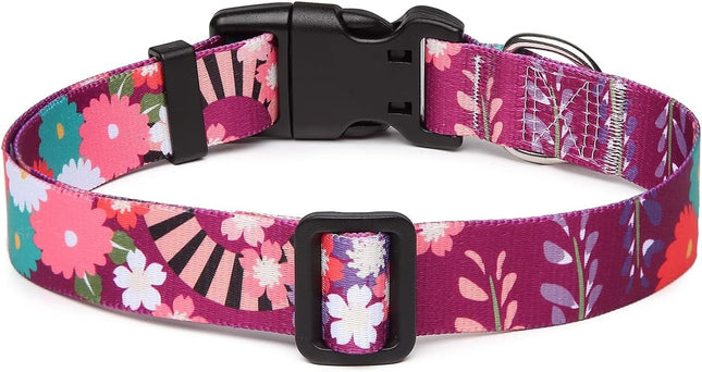 Collar Con Diseños Para Perro