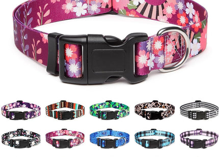 Collar Con Diseños Para Perro